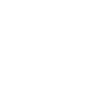southAfricanLogo